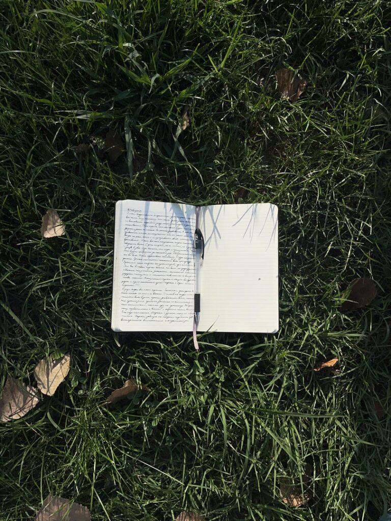 30 prompts de Journaling pour manifester ta « Dream Life »